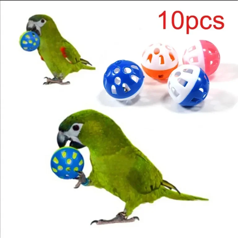 10pcs Pet Parrot Toy Colorful Hollow Rolling Bell