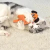 kawaii Pet Toy Rustle Sound Catnip Toy Cat Supplies Pet Cute Cat Toys Kitten Teeth Grinding Braided Bite Dog Chew Toys